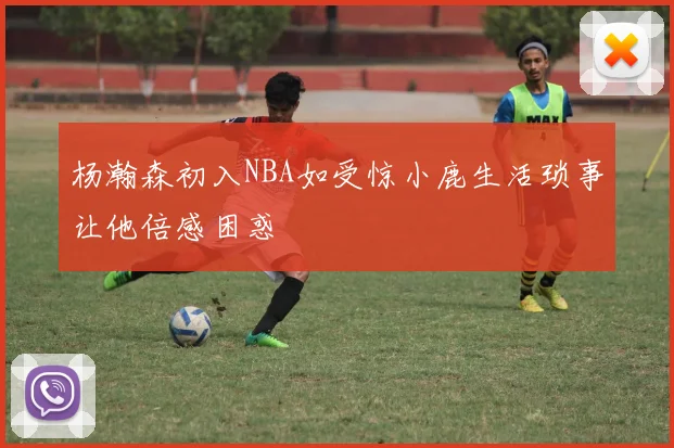 杨瀚森初入NBA如受惊小鹿生活琐事让他倍感困惑
