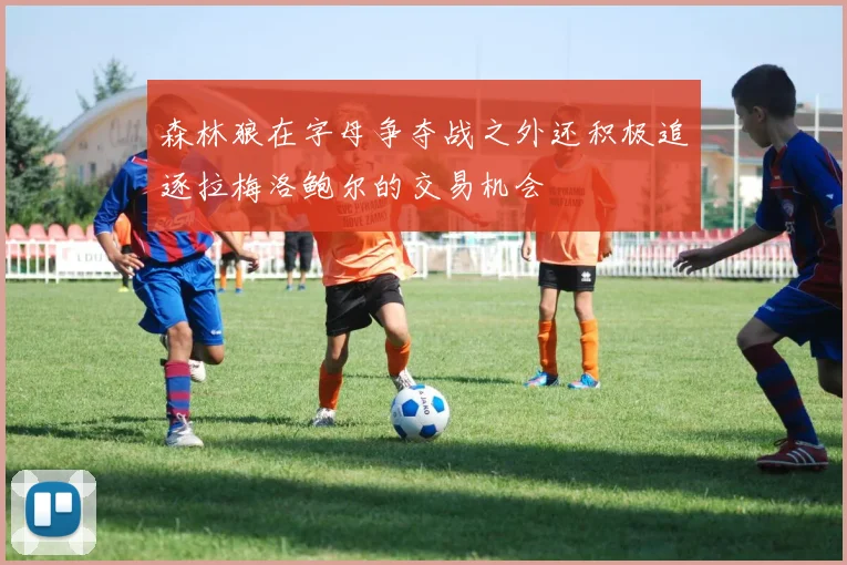 森林狼在字母争夺战之外还积极追逐拉梅洛鲍尔的交易机会